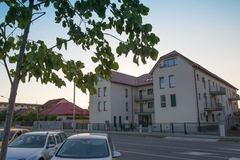 The One And Only Paltinisanu Timisoara